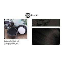 21 Colors Fiber Waterproof Hairline Powder