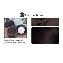 21 Colors Fiber Waterproof Hairline Powder