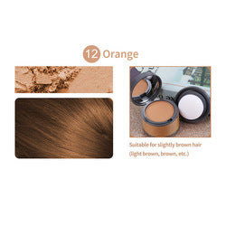 21 Colors Fiber Waterproof Hairline Powder