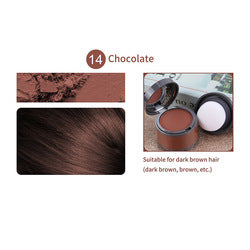 21 Colors Fiber Waterproof Hairline Powder