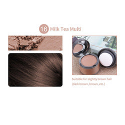 21 Colors Fiber Waterproof Hairline Powder